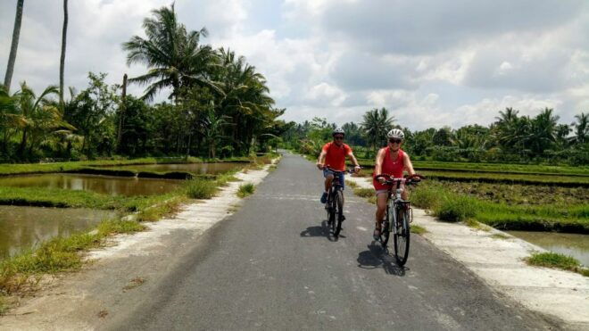 Lombok : Rice Field, Lingsar Temple, Fun Ride - Experience Highlights