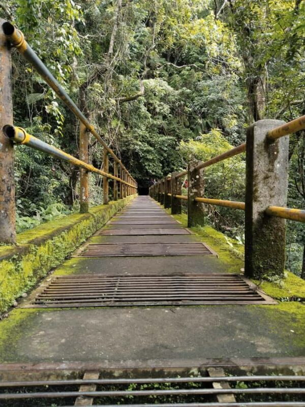 Lombok: Rice Field Terrace & Senaru Waterfalls Guided Tour - What Reviewers Say  