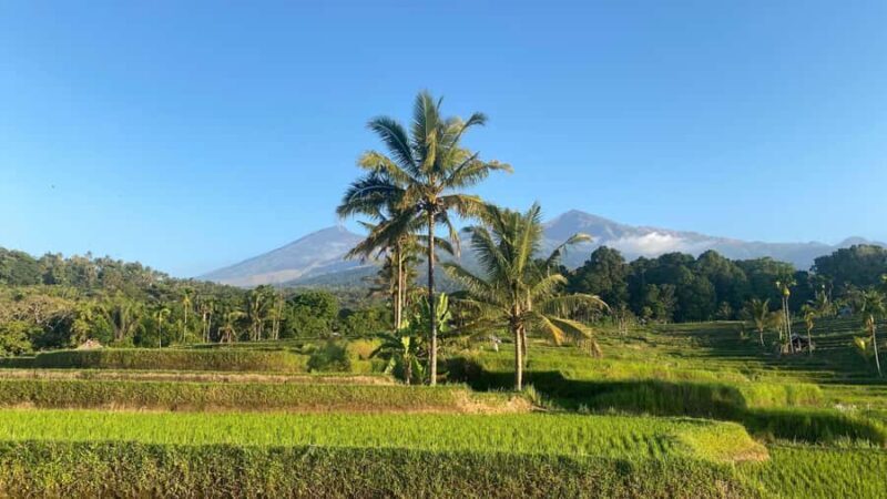 Lombok: Rice Field Terrace & Senaru Waterfalls Guided Tour - FAQs