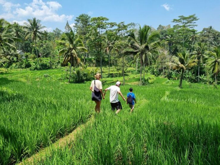 Lombok Rice Terrace Walking Tour & Benang Kelambu Waterfall - Activity Details