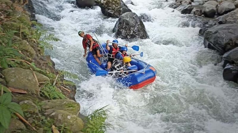 Lombok: River Rafting & Benang Kelambu Waterfall with Lunch - Who Will Love This Tour?