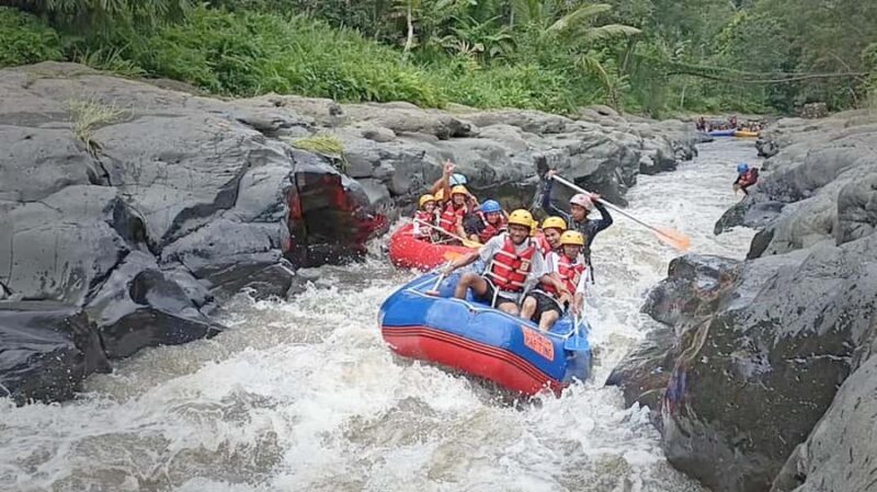 Lombok: River Rafting & Benang Kelambu Waterfall with Lunch - Who Would Love This Tour?