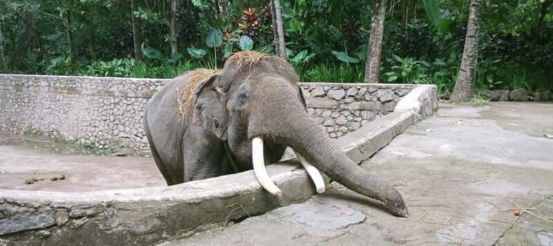 Lombok Safari Wildlife Park, Village and Waterfalls tour - Starting Point and Transportation