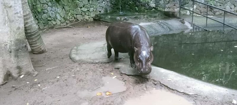 Lombok Safari Wildlife Park, Village and Waterfalls tour - Exploring the Sasak Culture at Senaru Village