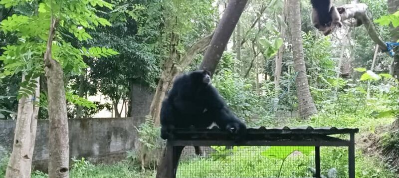 Lombok Safari Wildlife Park, Village and Waterfalls tour - Lombok Wildlife Park: Wildlife Encounters and Conservation