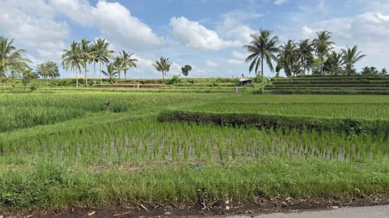 Lombok: Sasak Villages, Pottery and south beach Tour - Sade Village: Cultural Snapshot