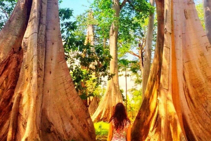 Lombok: Secluded Gilis Discovery Tour (incl. Lunch) - Tour Itinerary