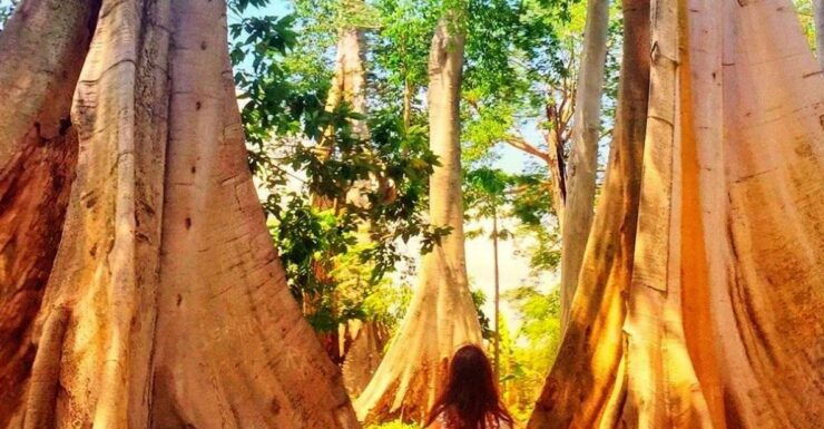 Lombok: Secluded Gilis Discovery Tour (incl. Lunch) - Tour Inclusions