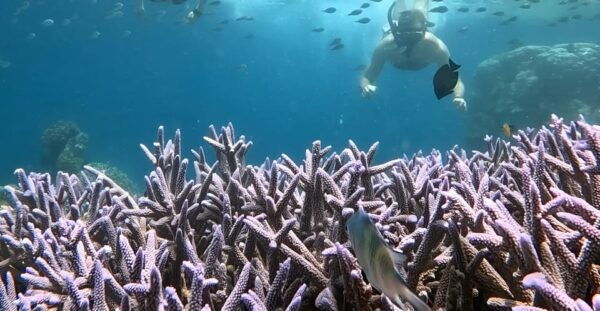 Lombok Secret Gili: Island Hopping & Snorkelling Trip - Questions You May Have