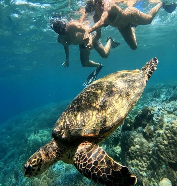Lombok Secret Gili & Southwest Snorkelling Trip - Booking Information