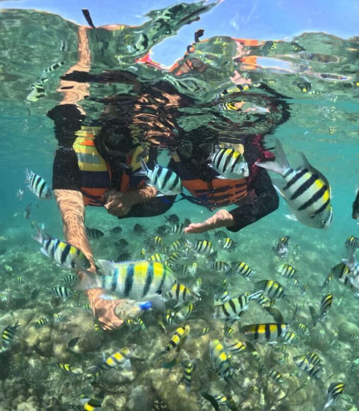 Lombok Secret Gilis Snorkeling Jet Ski Available as Add-On - An In-Depth Look at the Tour Experience  