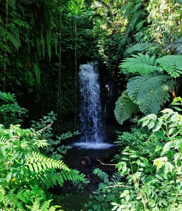Lombok: Sekeper Waterfall  Hidden Gem & Highest Waterfall - Good To Know