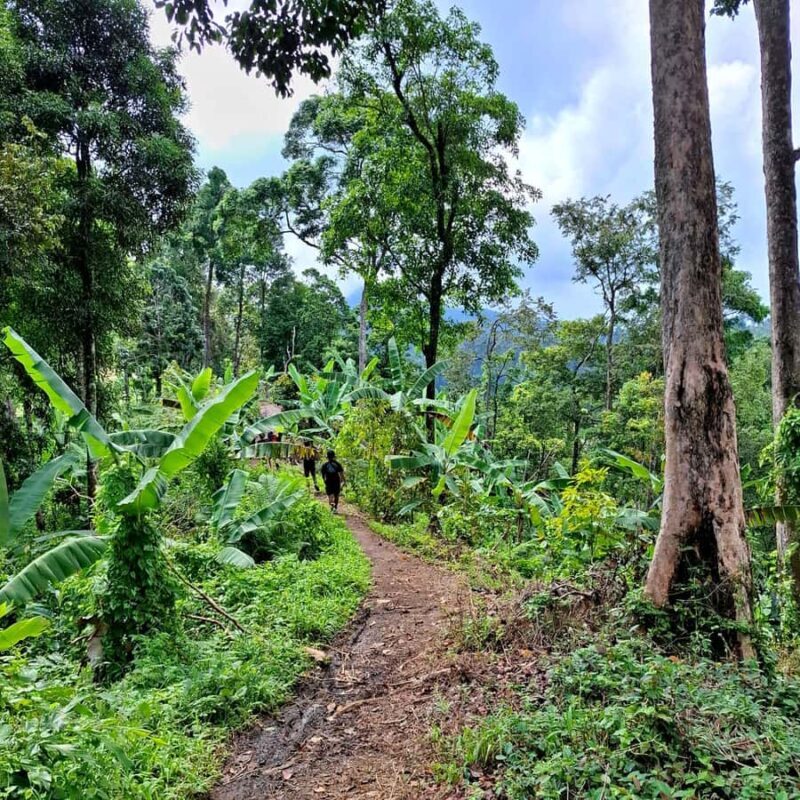 Lombok: Sekeper Waterfall  Hidden Gem & Highest Waterfall - Authentic Experiences and Insider Tips