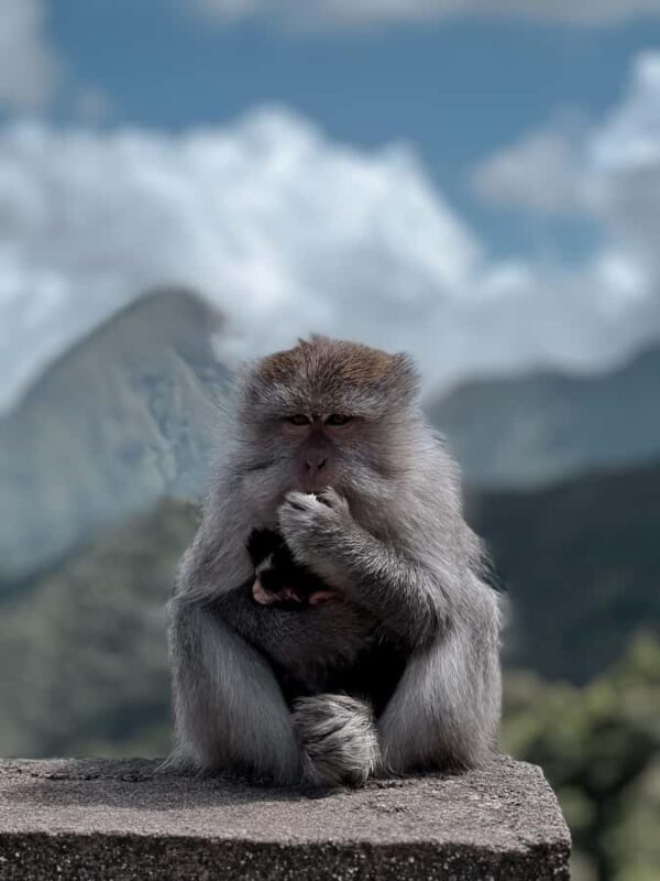 Lombok : Sembalun Crater & Hidden Waterfall - What Sets This Tour Apart?