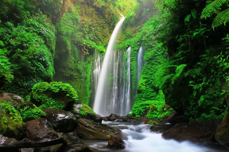Lombok Sembalun Highland Private Hiking Tour - Ask whether the hill stop is Pergasingan or Bukit Selong