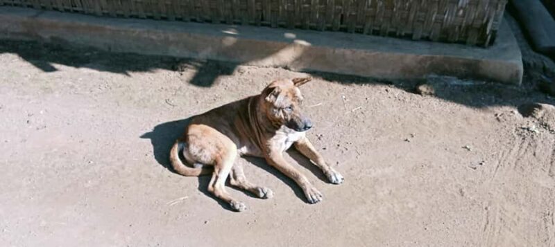 Lombok Senaru: Sasak Village, Waterfall & River Tubing Tour - The Peaceful Mountain Stream: River Tubing Adventure