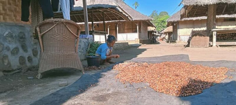 Lombok Senaru: Village Tour, Waterfalls, and Cooking Class - The Sum Up