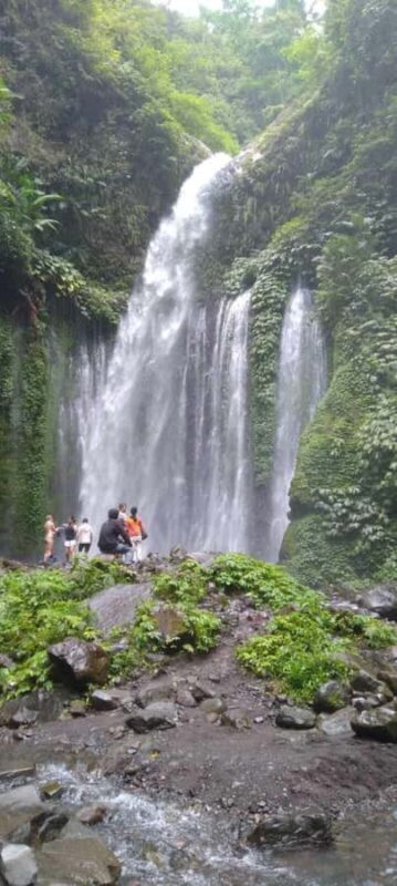 Lombok : Sendang Gile and Tiu Kelep Waterfall Tour - What the Reviews Say