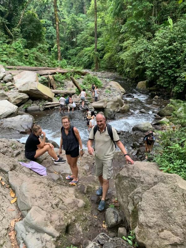 Lombok: Sendang Gile and Tiu Kelep Waterfalls Day Trip - An Overview of the Tour Experience