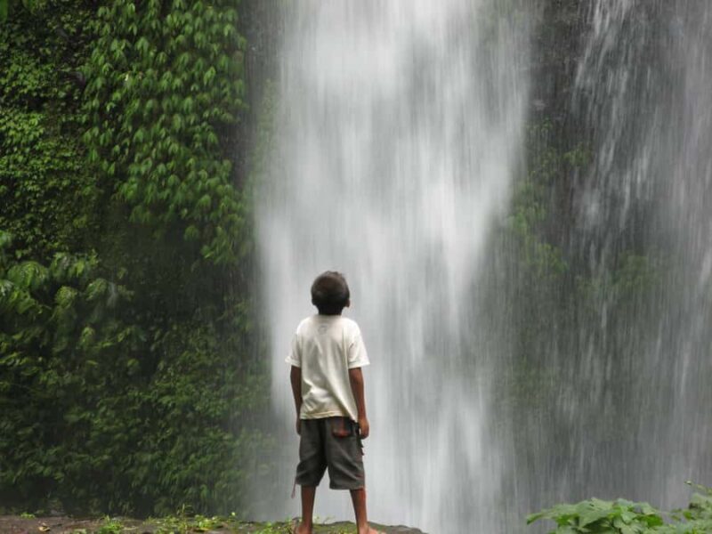 Lombok: Sendang Gile Waterfall & Pusuk Pass Day Trip - An In-Depth Look at the Lombok Day Trip