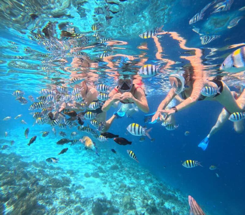 Lombok: Snorkeling & Island Hopping to The Southwest Gilis - Transportation and Convenience