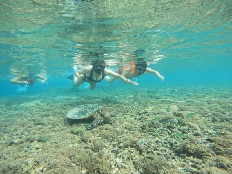 Lombok: Snorkeling & Island Hopping to The Southwest Gilis - Pricing and Value