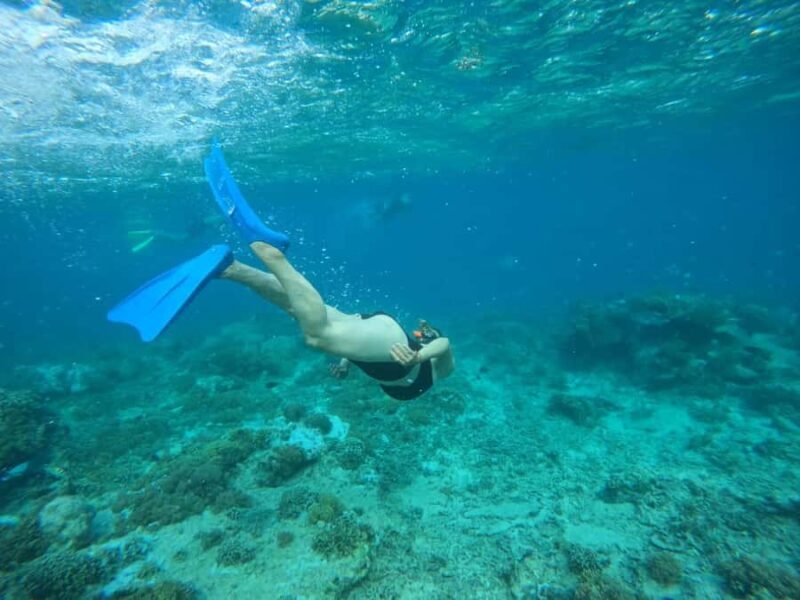 Lombok: Snorkeling & Island Hopping to The Southwest Gilis - Authentic Experience and Hidden Gems