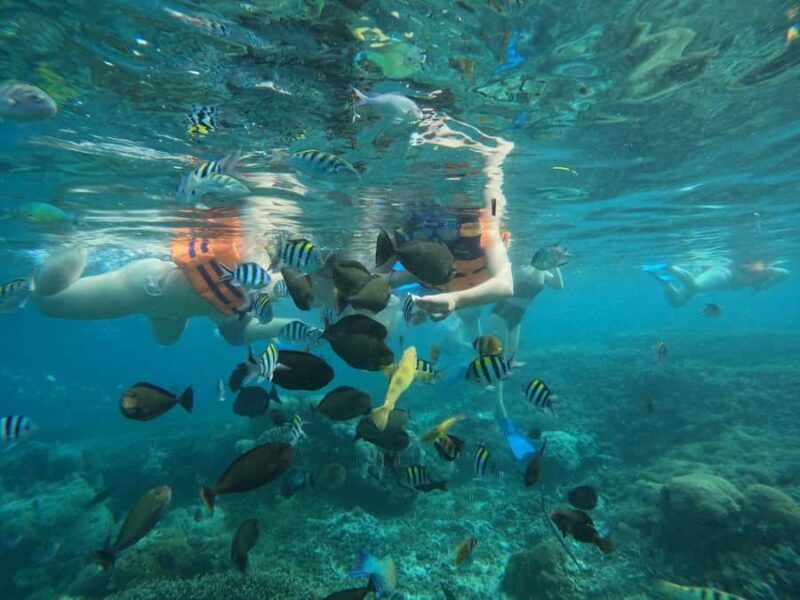 Lombok: Snorkeling & Island Hopping to The Southwest Gilis - The Sum Up