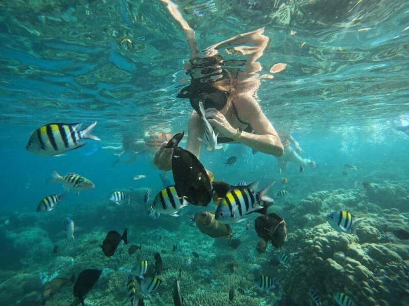 Lombok: Snorkeling & Island Hopping to The Southwest Gilis - FAQs
