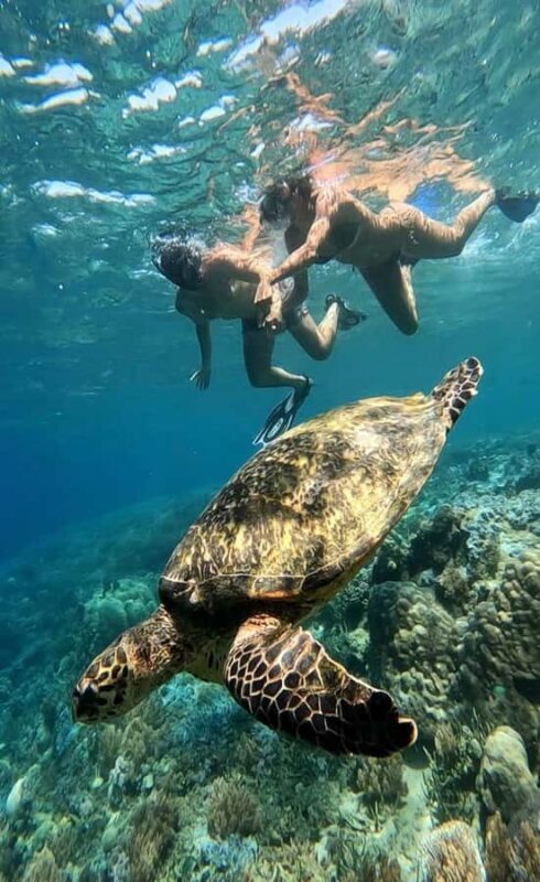 Lombok Snorkeling to Gili Nanggu, Tangkong, Sudak and Kedis - In-Depth Look at the Tour Experience