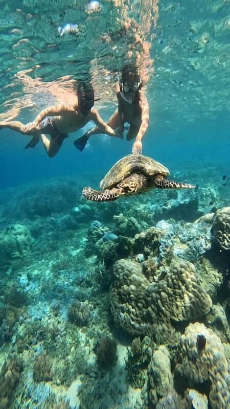 Lombok Snorkeling to Gili Nanggu, Tangkong, Sudak and Kedis - Practical Tips for Your Snorkeling Day