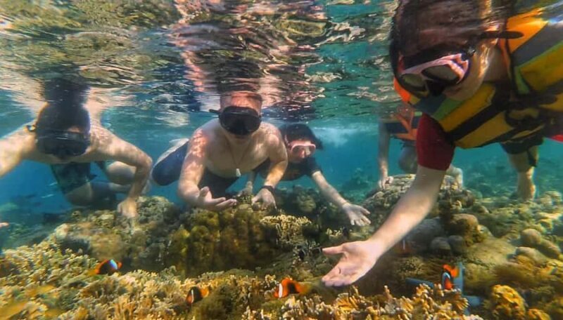 Lombok: Snorkeling Trip Secret Gilis Layar, Rengit & Gede - The Foundations of an Authentic Lombok Snorkeling Adventure