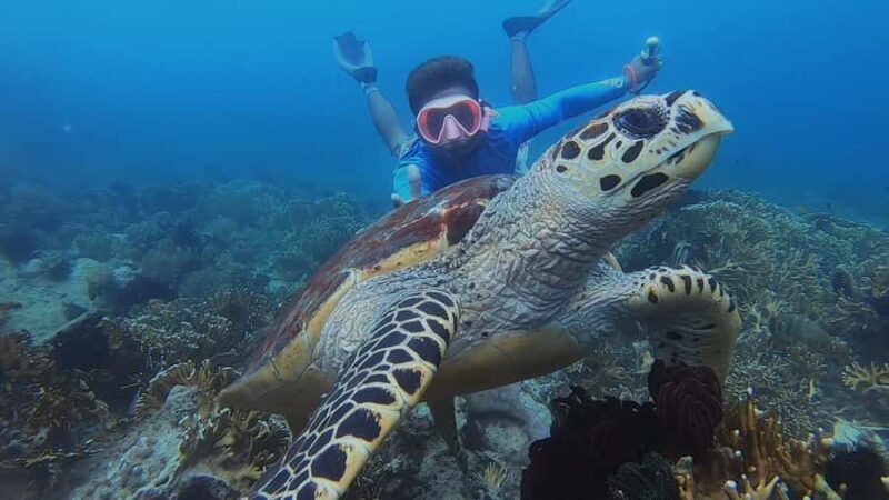 Lombok: Snorkeling Trip Secret Gilis Layar, Rengit & Gede - What You Need to Bring