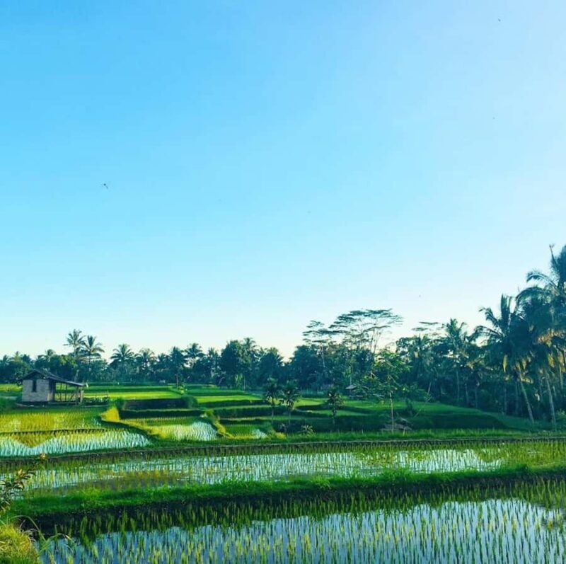 Lombok Solo Group Adventure: Jungle Trek & Waterfalls - FAQ