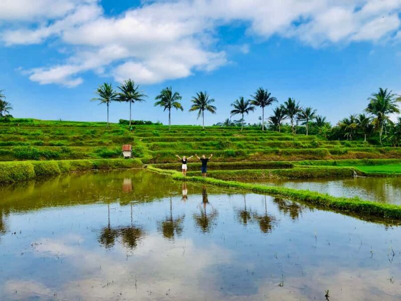 Lombok Solo Group Adventure: Jungle Trek & Waterfalls - Discovering the Beauty of Lombok’s Waterfalls and Rice Terraces