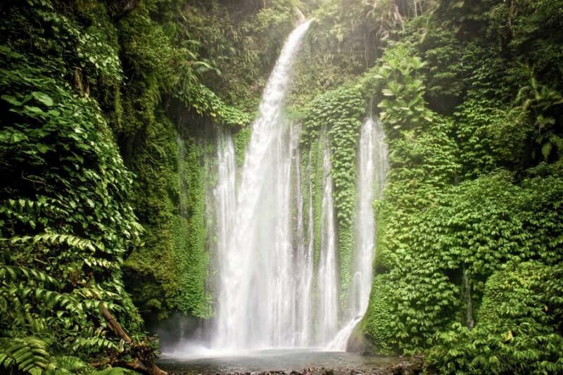 Lombok Spectacular: Waterfalls, Selong Hill & Pusuk Sembalun - The Value Proposition