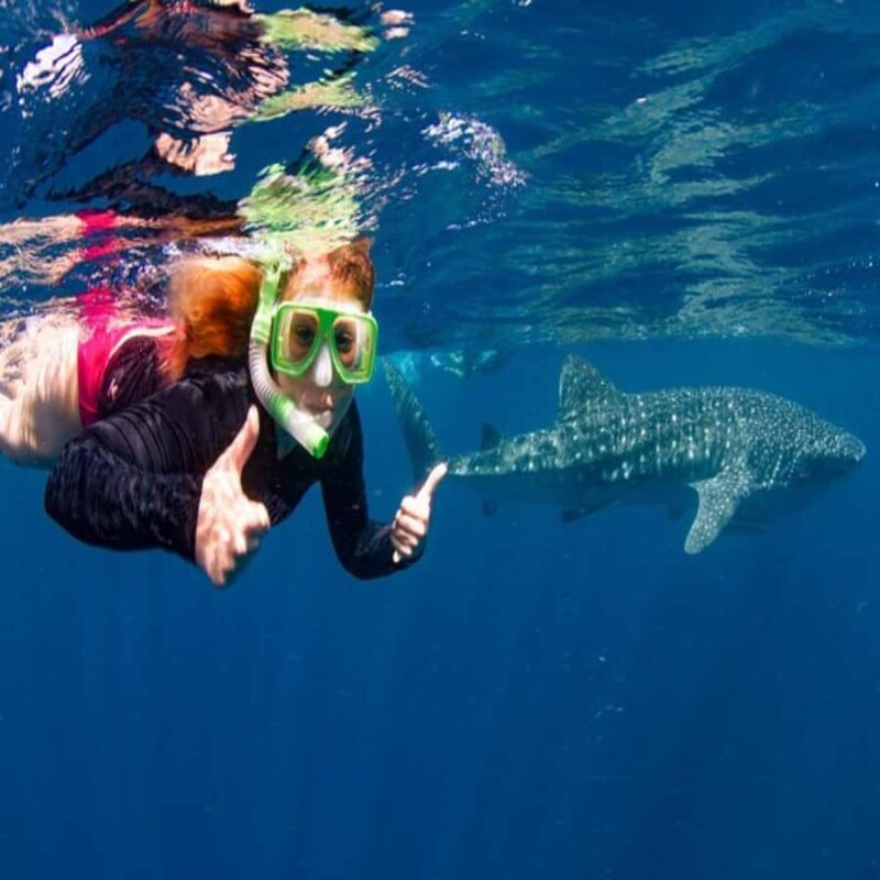 Lombok Sumbawa Best Sharing 2D1N Whale Shark With Snorkeling - Final Thoughts