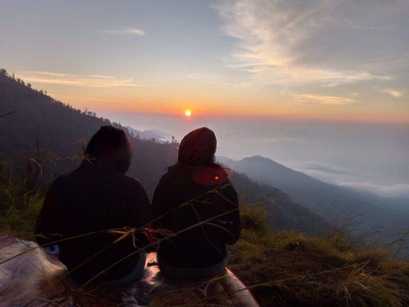 Lombok Sumbawa Sharing 2D1N Whale Shark With Snorkeling - Who Should Consider This Tour?