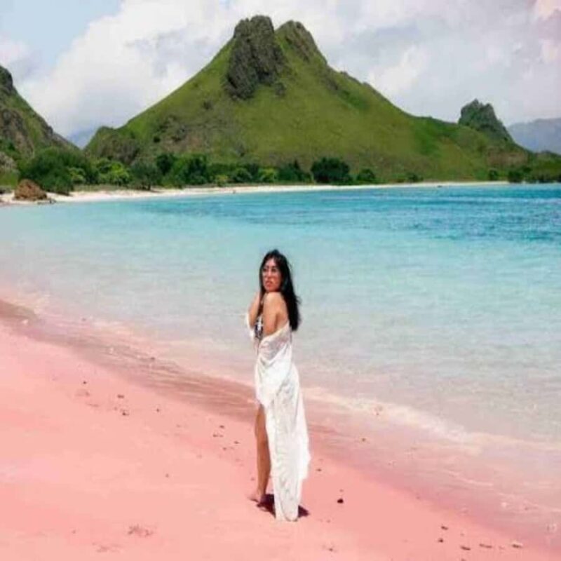 Lombok Sumbawa Sharing 2D1N Whale Shark With Snorkeling - Good To Know