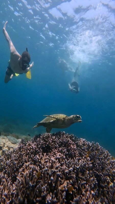 Lombok Tengah Full-Day Private Tour - From your hotel to Lombok’s southwest coast