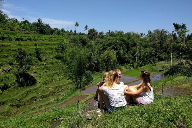 Lombok Tetebatu Rice Terrace Heaven Tour - Tour Highlights