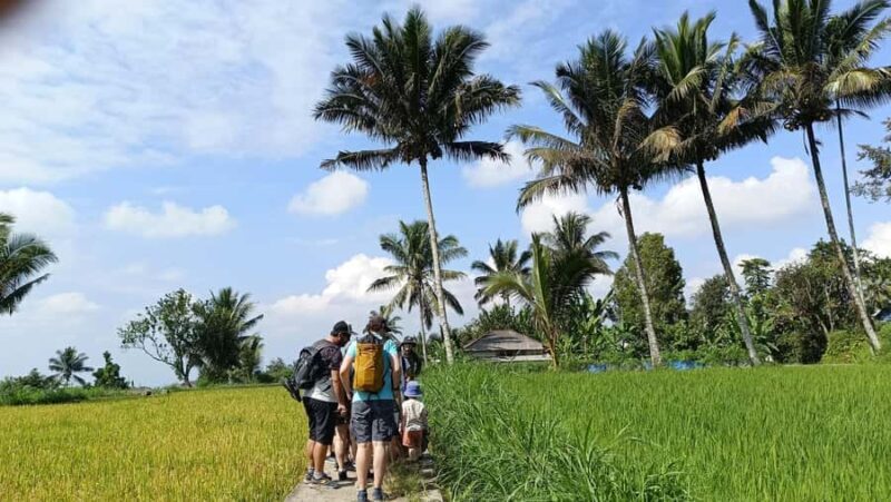 Lombok: Tetebatu Village and Rice Fields Guided Tour - Why This Tour Offers Great Value
