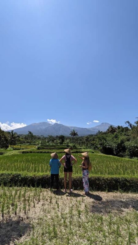 Lombok: Tetebatu Village Tour with Lunch and Pickup - A detailed look at the Tetebatu Village Tour