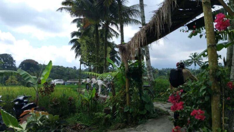 Lombok: Tetebatu Village Tour with Lunch and Pickup - Who Should Consider This Tour?