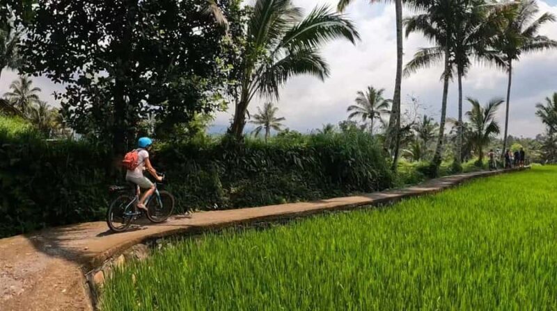 Lombok: Tetebatu Village Tour with Lunch and Pickup - The Sum Up: The Real Treasure of Lombok