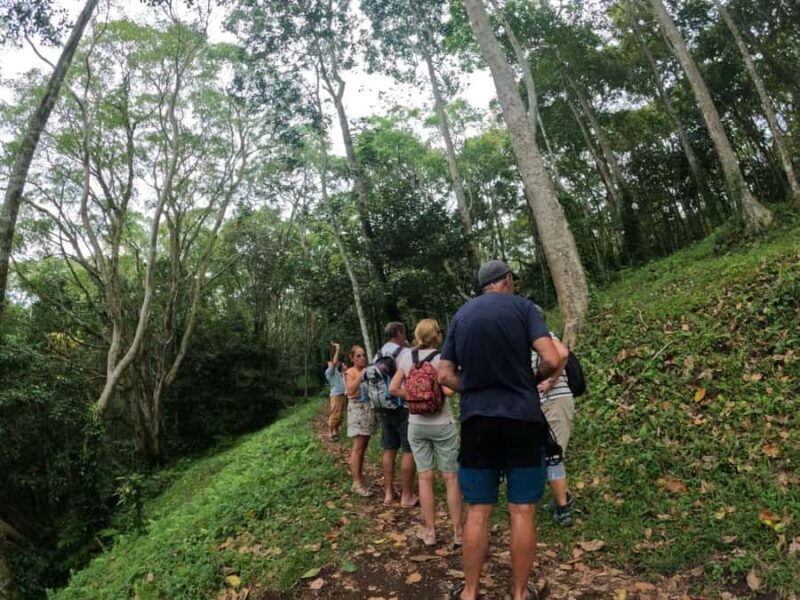 Lombok: Tetebatu Village Tour with Lunch and Pickup - Who Will Love This Tour?