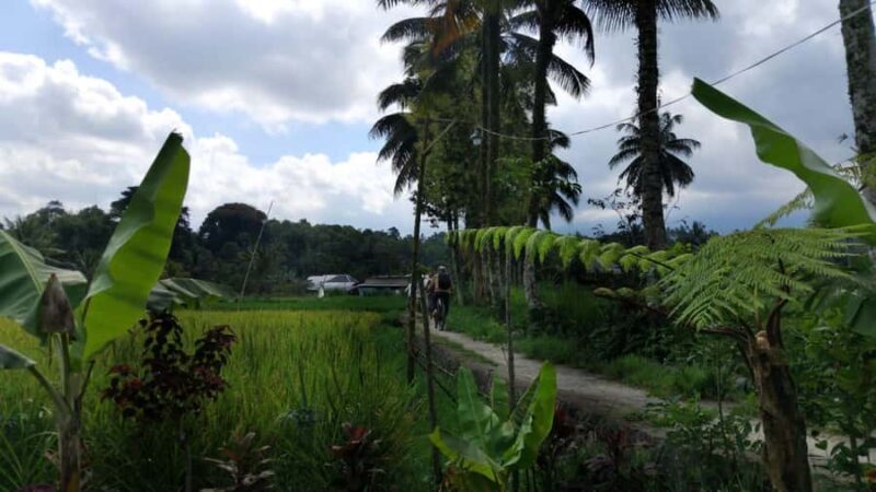 Lombok: Tetebatu Village Tour with Lunch and Pickup - FAQ