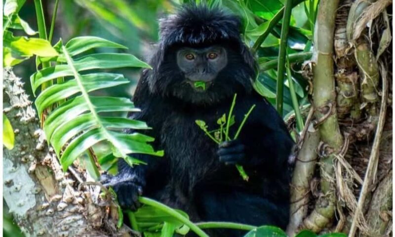 Lombok: Tetebatu Village Tour with Waterfalls & Lunch - A Closer Look at the Itinerary and Highlights