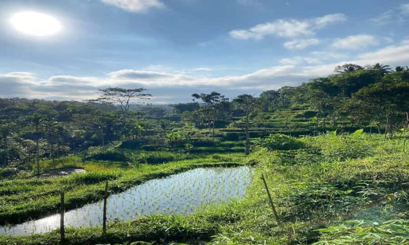 Lombok: Tetebatu Village Tour with Waterfalls & Lunch - The Sum Up