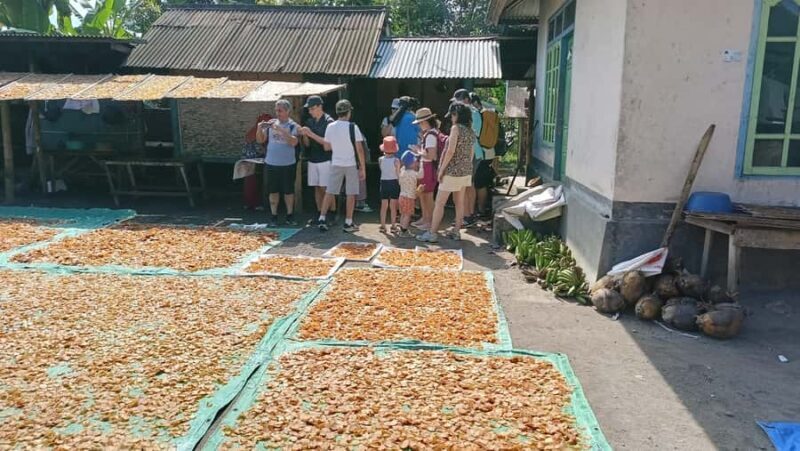 Lombok: Tetebatu Walking Tour with Monkey Forest & Waterfall - Who Will Love This Tour?